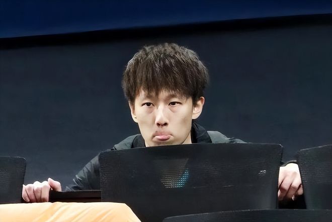 波兰队绝杀奥地利队，林高远高光表现的简单介绍