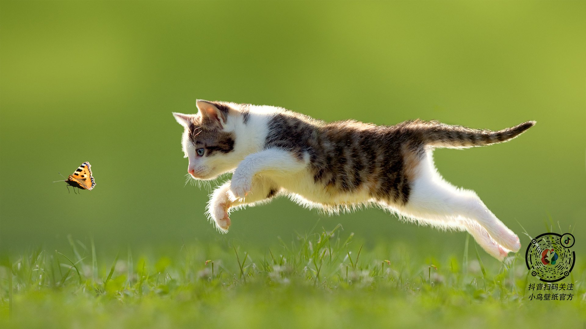 布克单骑定乾坤,雄鹿铁蹄踏碎山西反扑梦