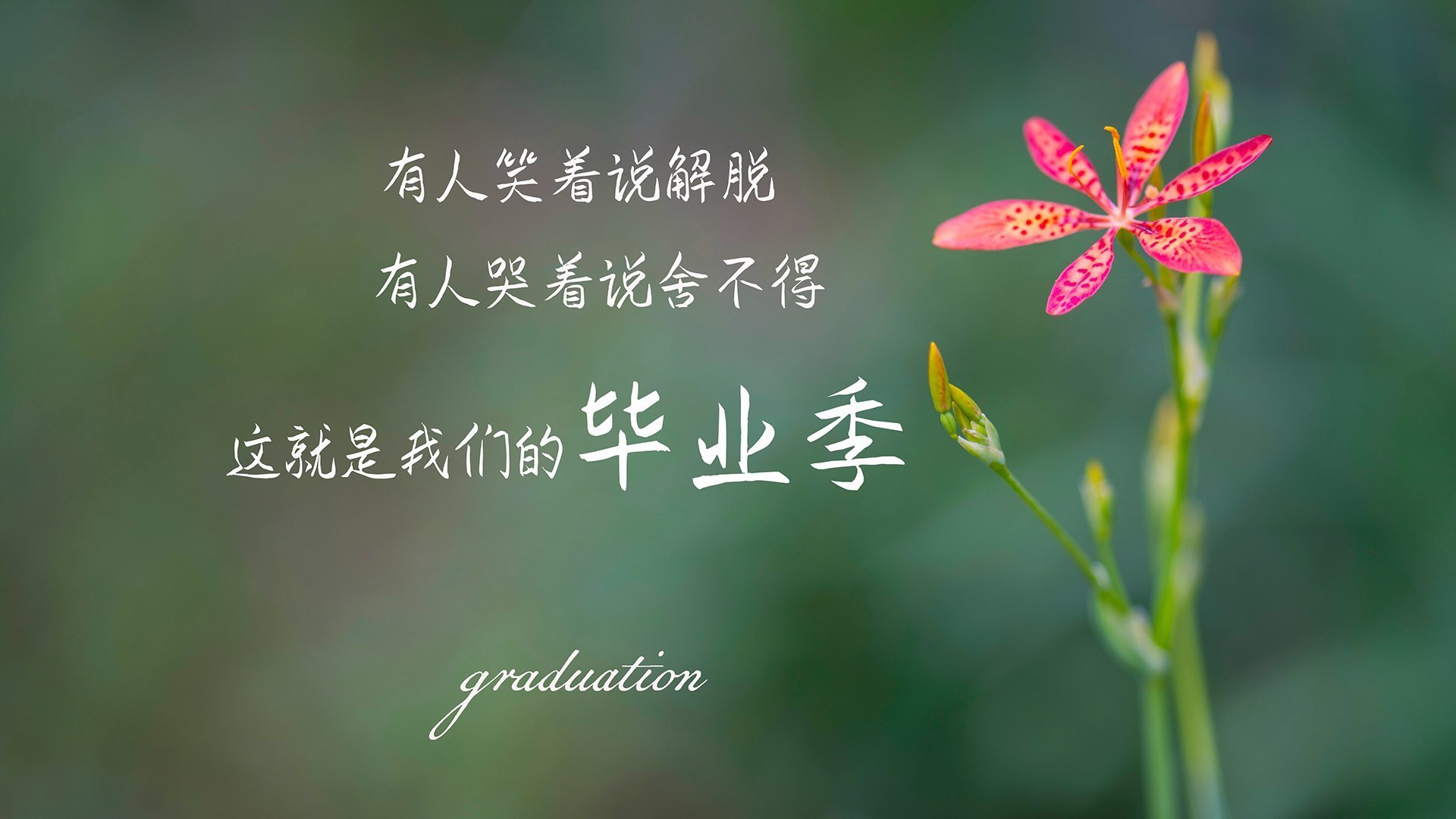 贝恩主宰比赛走向，尼克斯对阵掘金激战纪实