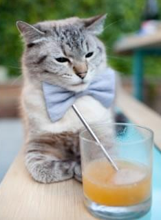 绝境逆转！布伦森末节21分导演活塞20分惊天翻盘