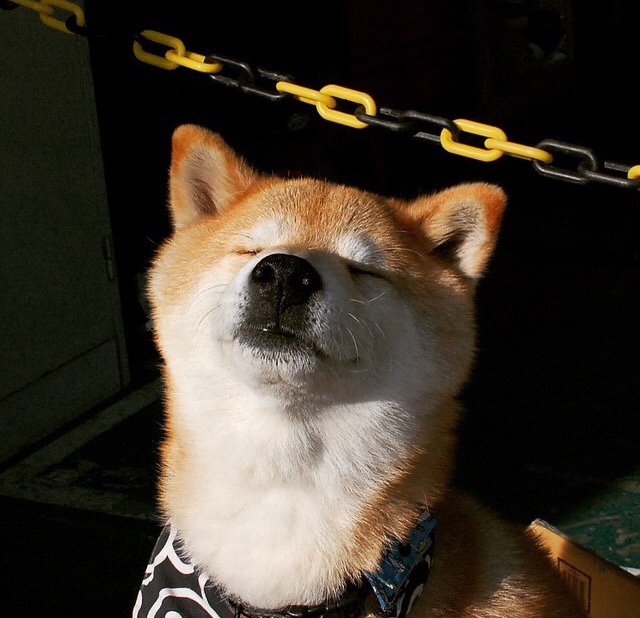 铁闸阿坎吉闪耀全场，中国队险胜塞内加尔迎生机