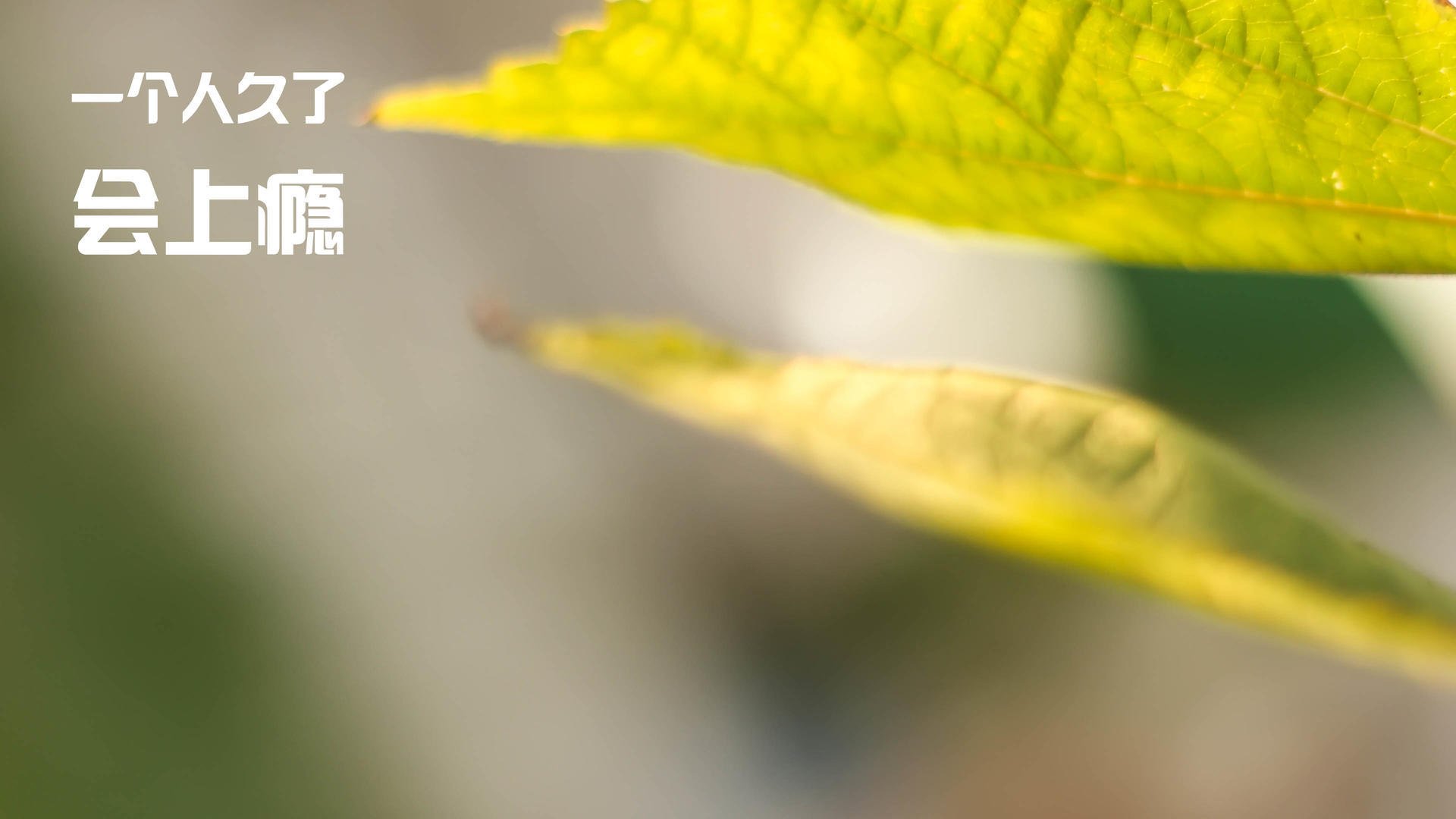 疾风迅雷，米切尔如何用攻防转换撕碎深圳队的防线