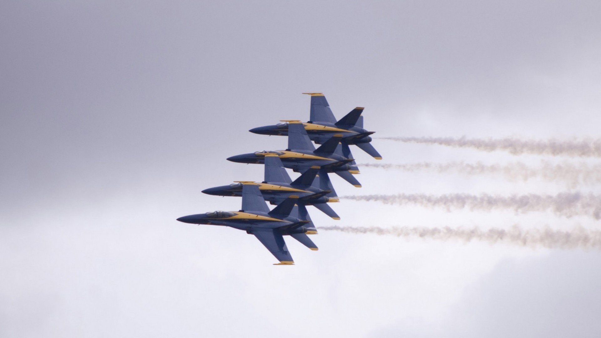 黄蜂狂潮席卷多伦多,米切尔如尖刀彻底刺穿猛龙钢铁防线