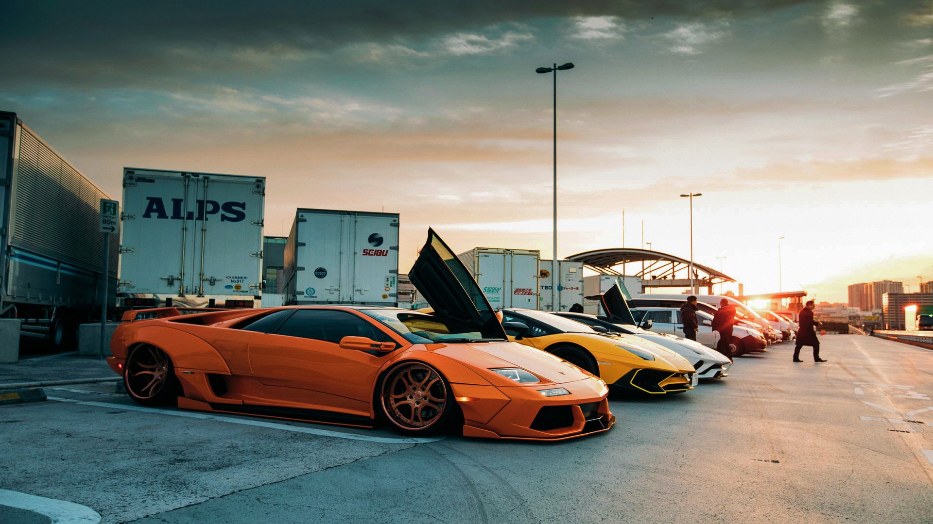 国王对阵独行侠，小贾伦赛后评分拉满，青春风暴席卷联盟