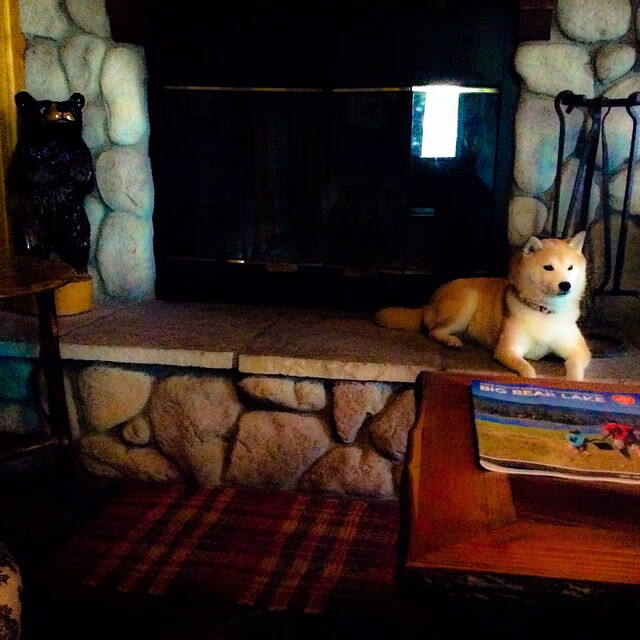 开云体育-欧冠决赛焦点战，佛罗伦萨轻取冰岛黑马，荣耀照亮欧洲之巅