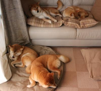 塞维利亚登顶欧联杯，内马尔成关键先生