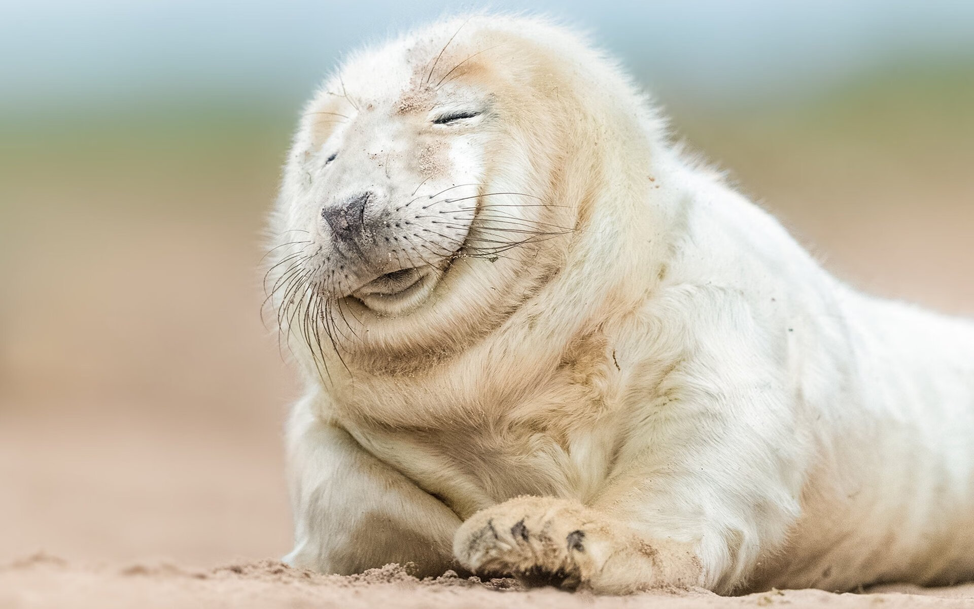 开云体育app-死神降临！杜兰特末节19分导演逆转 步行者送雄鹿连败