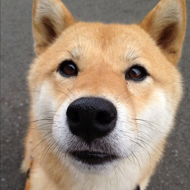 开云体育平台APP-热望燎原，从吉林冰封篮网到字母哥欧冠称王