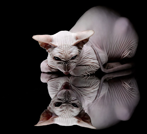 开云体育app-雄鹿对阵爵士激战正酣，东契奇关键战不手软展现实力