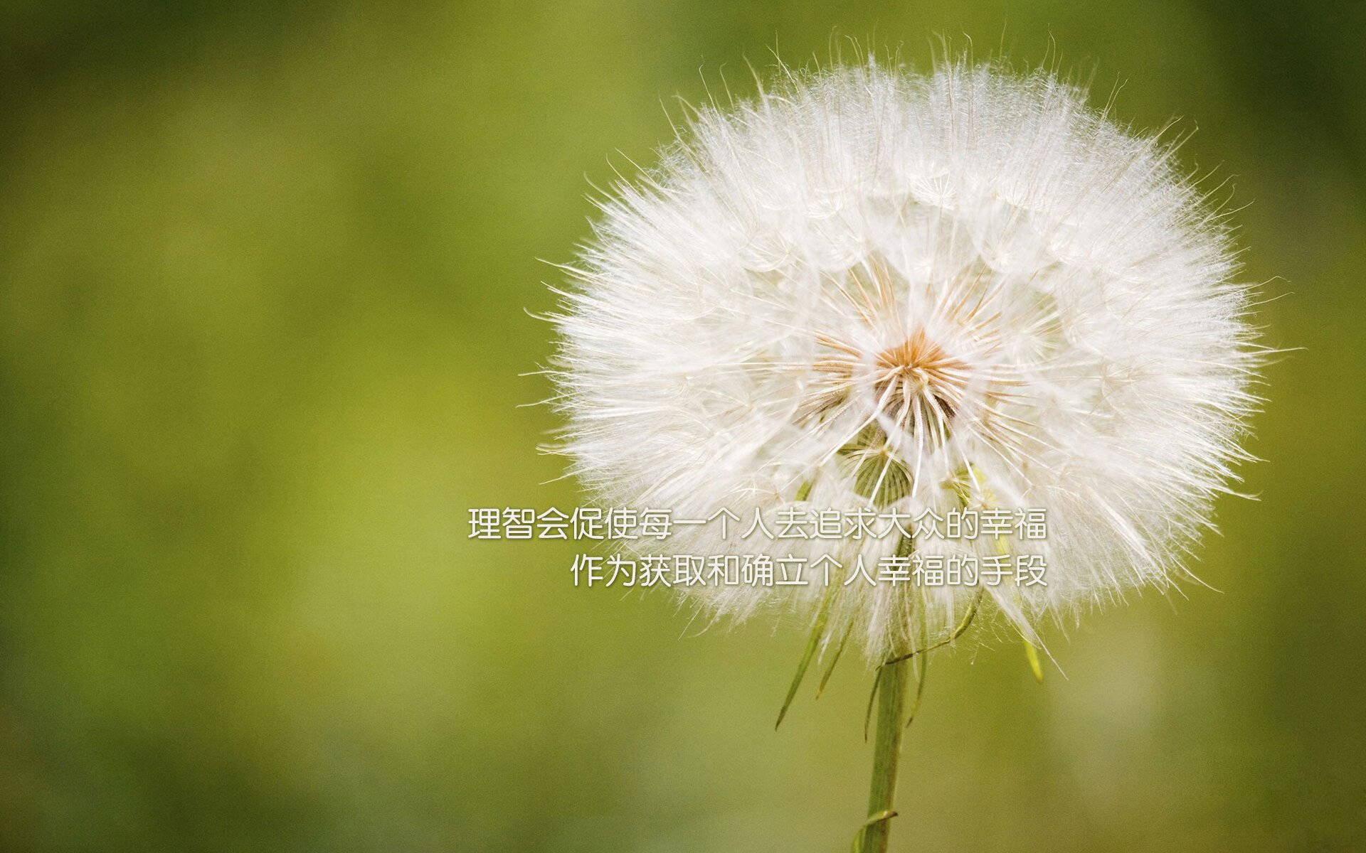 开云下载-两种光芒，广厦团队利剑斩魔术，范乔丹孤星耀欧冠