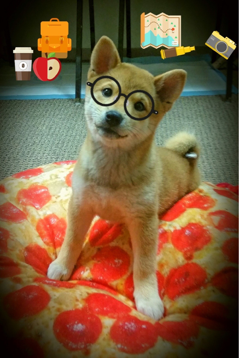 抢七生死战！勇士全面爆发轻取独行侠，强势晋级西部决赛