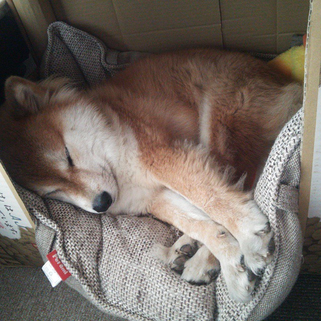 开云官网-压力下的璀璨绽放，拉什福德助力利物浦欧冠对决国际米兰的传奇之夜