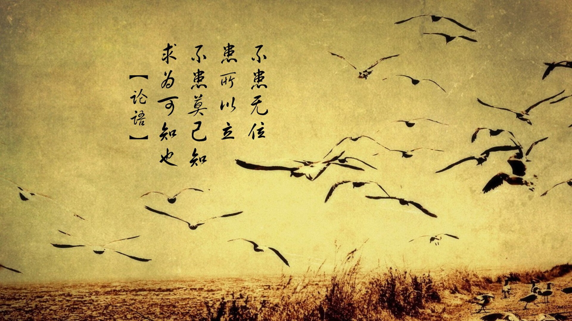 西决生死战，加拿大冰刀刺破马赛铁壁，百年荣耀背后的文化征服