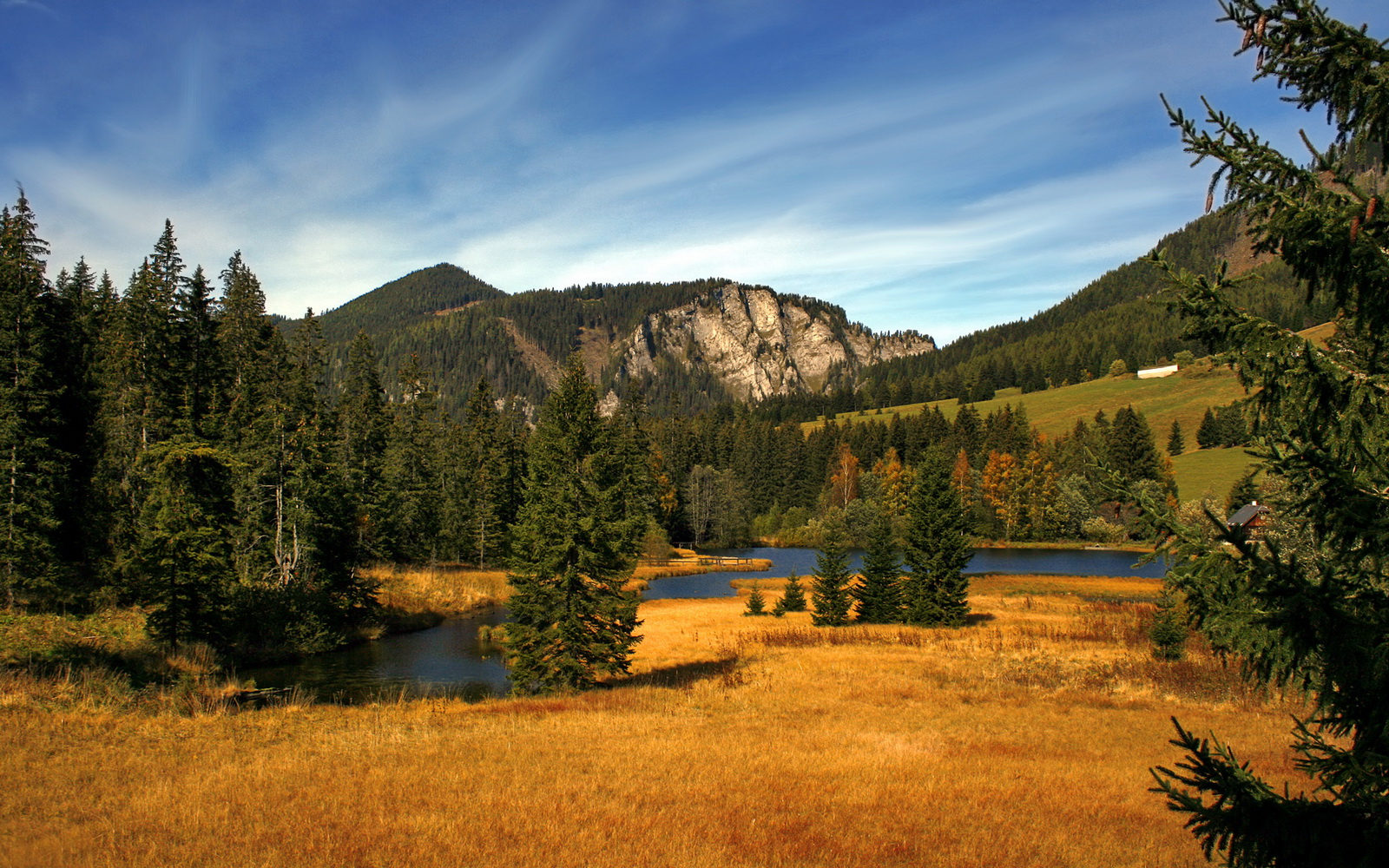 开云体育官网-双城记，当圣西罗的硝烟遇见休斯顿的火焰